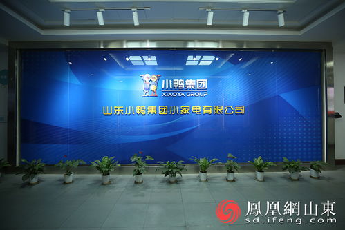 小鸭向新 2021探寻济南企业高质量发展媒体行 将走进小鸭集团凤凰网山东 凤凰网