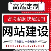 网站定制开发