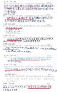 济南无痕环境文化传播中心 ngo名录 公益组织名录 ngo中心 中国发展简报网站