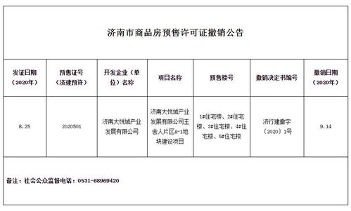 济南大悦城产业发展被撤销商品房预售许可证