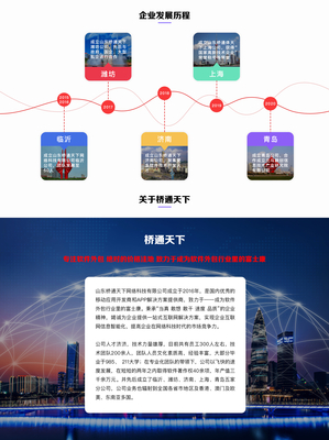 网站定制开发