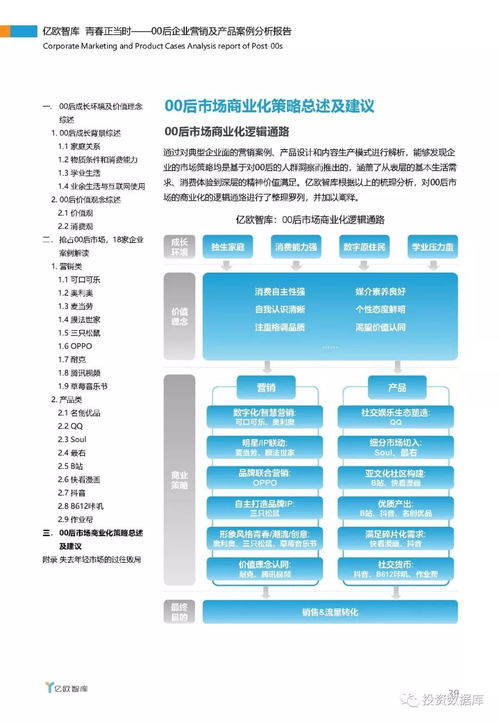 亿欧智库 青春正当时 00后企业营销及产品案例分析报告