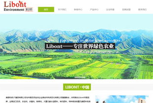 企业网站 定制类模板网站 济南网站建设 济南建网站 济南网站建设公司